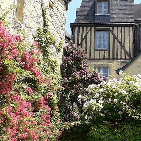 Petite Maison Romantique Au Calme, Coeur Historique Plantagenet, Vue Ville Le Mans Exterior photo